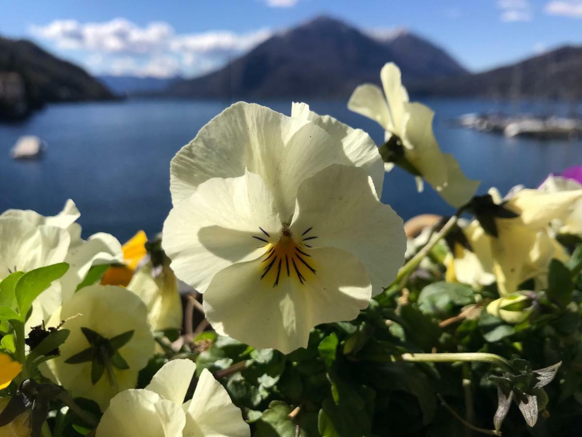Gli Oleandri Otel Bellano Dış mekan fotoğraf