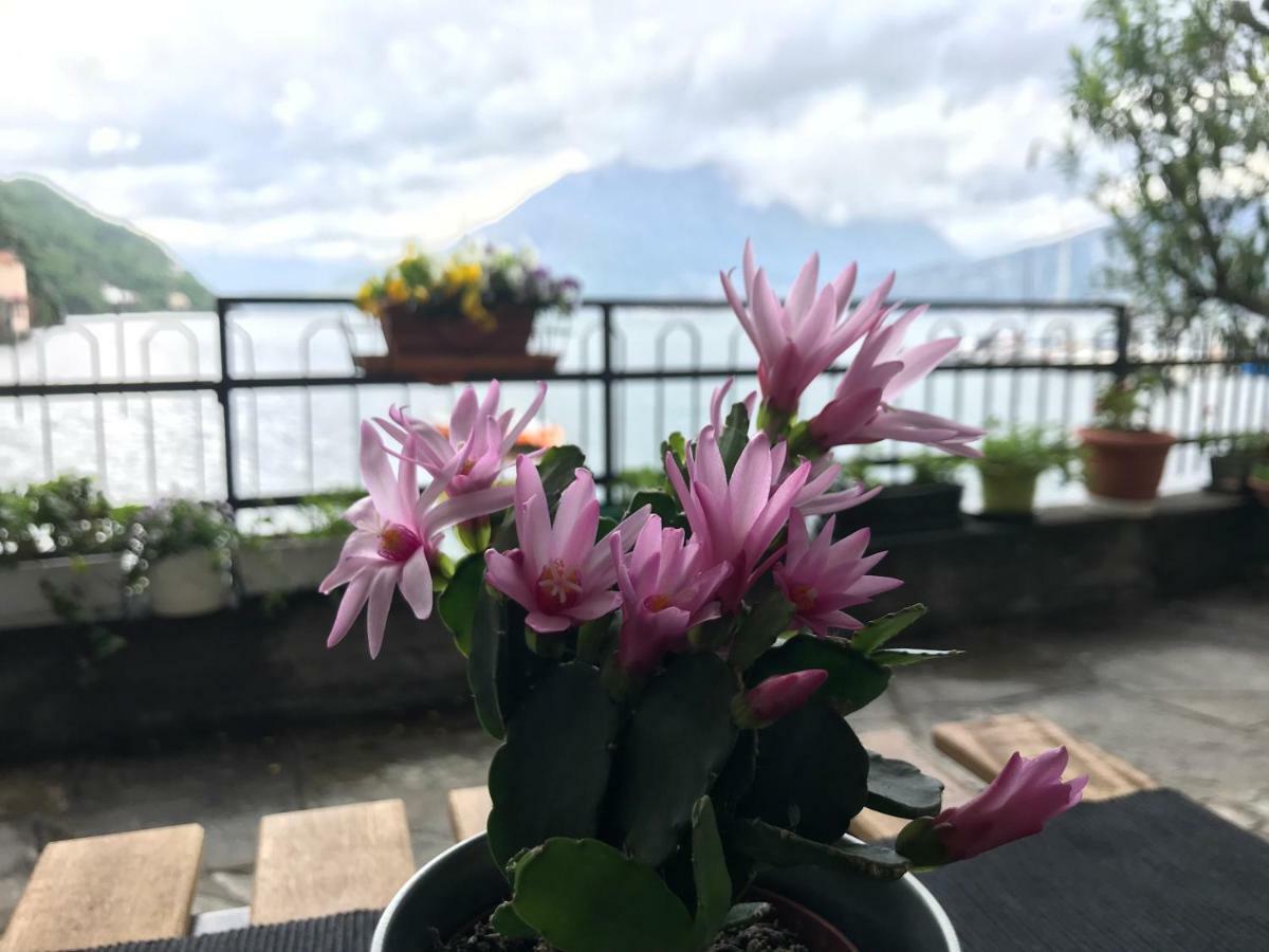 Gli Oleandri Otel Bellano Dış mekan fotoğraf