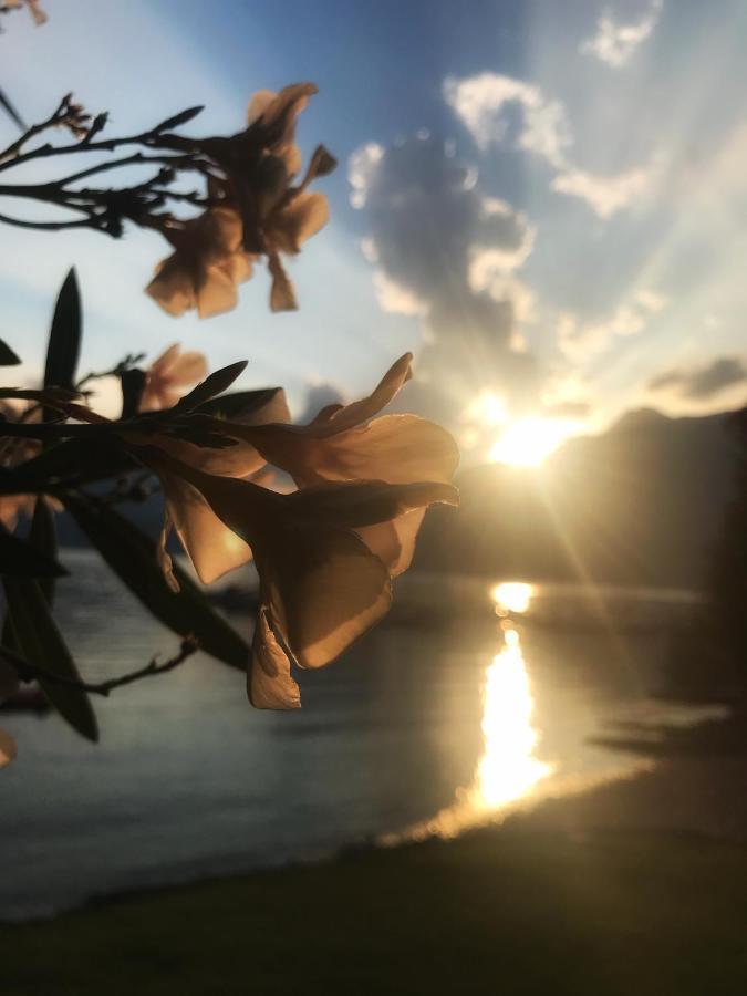 Gli Oleandri Otel Bellano Dış mekan fotoğraf